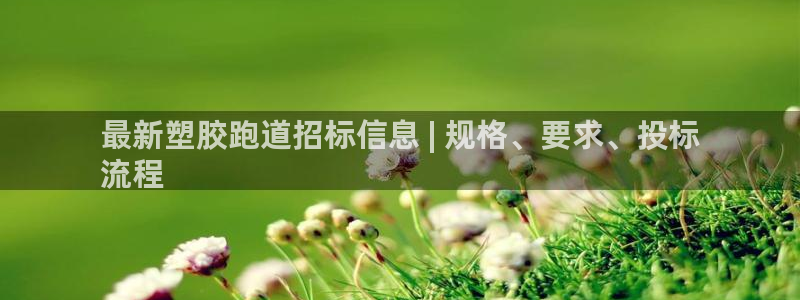 尊龙凯时请求参数不符合：最新塑胶跑道招标信息 | 规格、要求、投标
流程