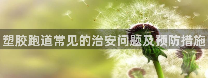 z6尊龙凯时旗舰厅首页：塑胶跑道常见的治安问题及预防措施