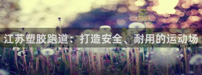 尊龙2016：江苏塑胶跑道：打造安全、耐用的运动场