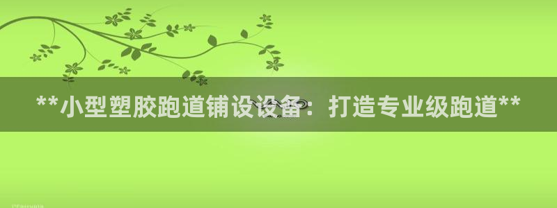 尊龙凯时-人生就是博中国官网：**小型塑胶跑道铺设设备：打造专业级跑道**