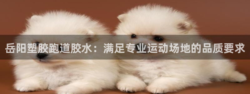 尊龙新版App下载：岳阳塑胶跑道胶水：满足专业运动场地的品质要求