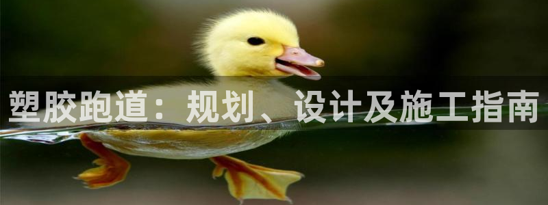 凯时官网联系方式：塑胶跑道：规划、设计及施工指南