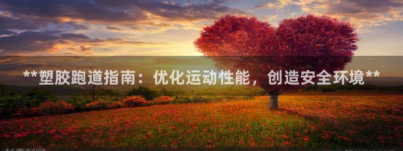 尊龙版末代皇帝：**塑胶跑道指南：优化运动性能，创造