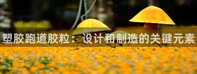 凯时APP官网首页