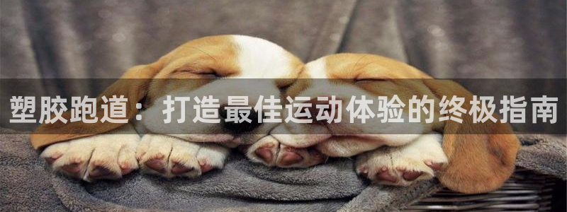 尊龙凯时口碑好吗：塑胶跑道：打造最佳运动体验的终极指南