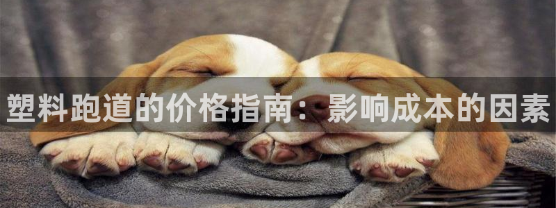 尊龙凯时-人生就是博中国官网最新：塑料跑道的价格指南