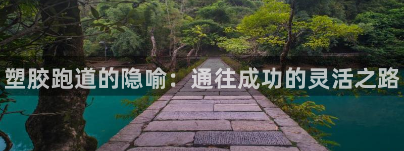 尊龙官方APP下载：塑胶跑道的隐喻：通往成功的灵活之