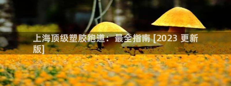 尊龙,人生就是博!登录国际：上海顶级塑胶跑道：最全指南 [2