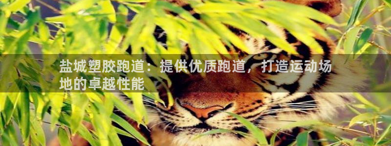 尊龙旗舰厅app：盐城塑胶跑道：提供优质跑道，打造运