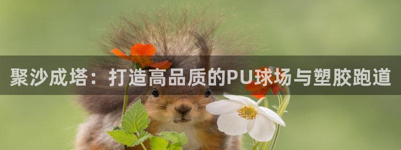尊龙人生就是博ag旗舰厅：聚沙成塔：打造高品质的PU球场与塑